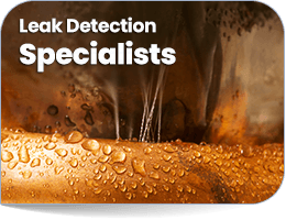 Leak Detection Hanna